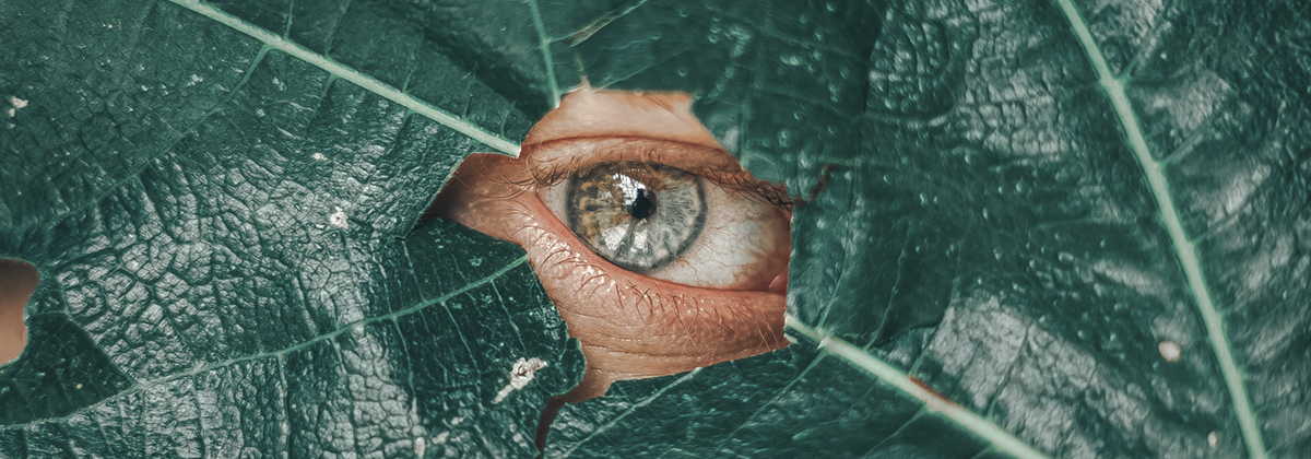 So You Want to Be a B Corp: Here's the Whys and Wherefores