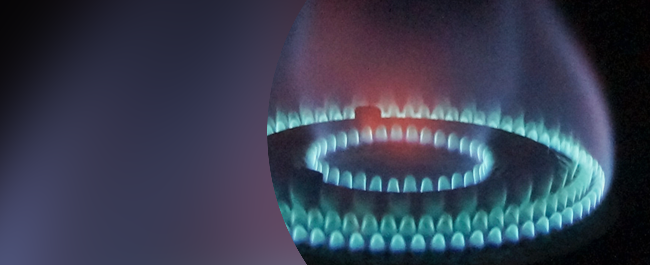 ButanGas, flexibility and simplicity to focus on the customer