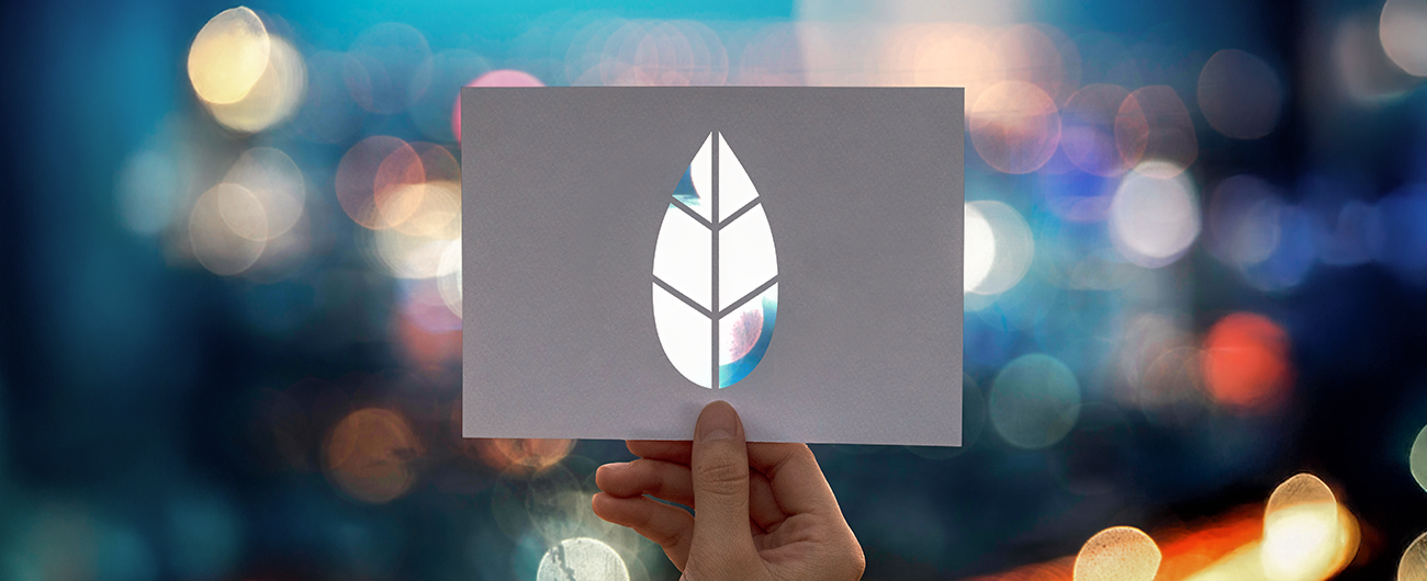 CSDDD (CS3D) e compliance digitale