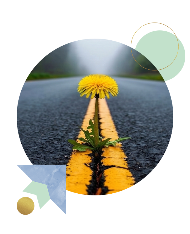 Dandelion blooming through a crack in a wet road with a yellow center line, symbolizing resilience (collage background).